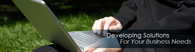 Custom Web Programming, Development of Web Based Software Applications for Business, Small Business Programming